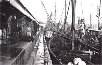 Waveney Dock
